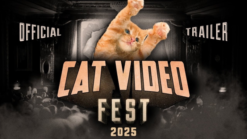 CAT VIDEO FEST 2025